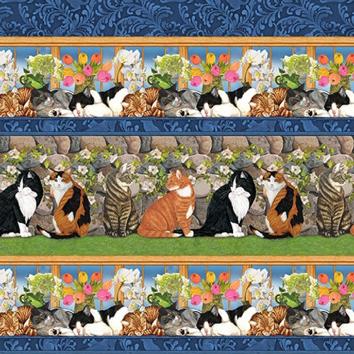 Royal Blue - Border Stripe || Whiskers Among Petals