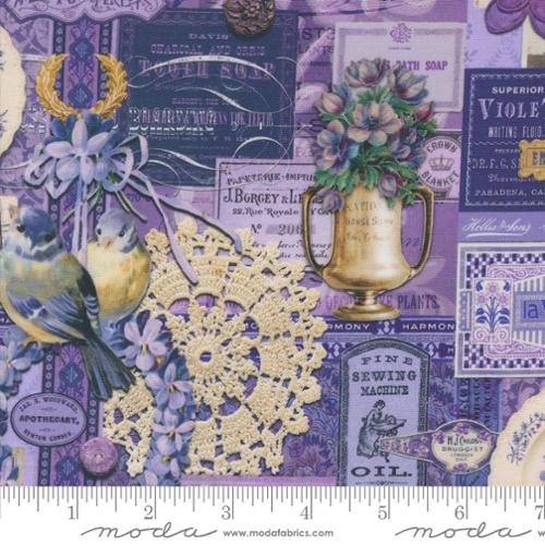 Curated In Color Purple -7460 17