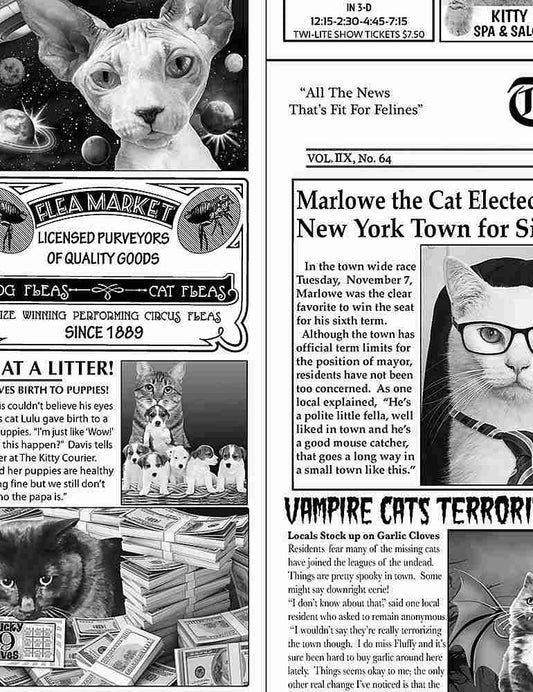 Cat Newspaper